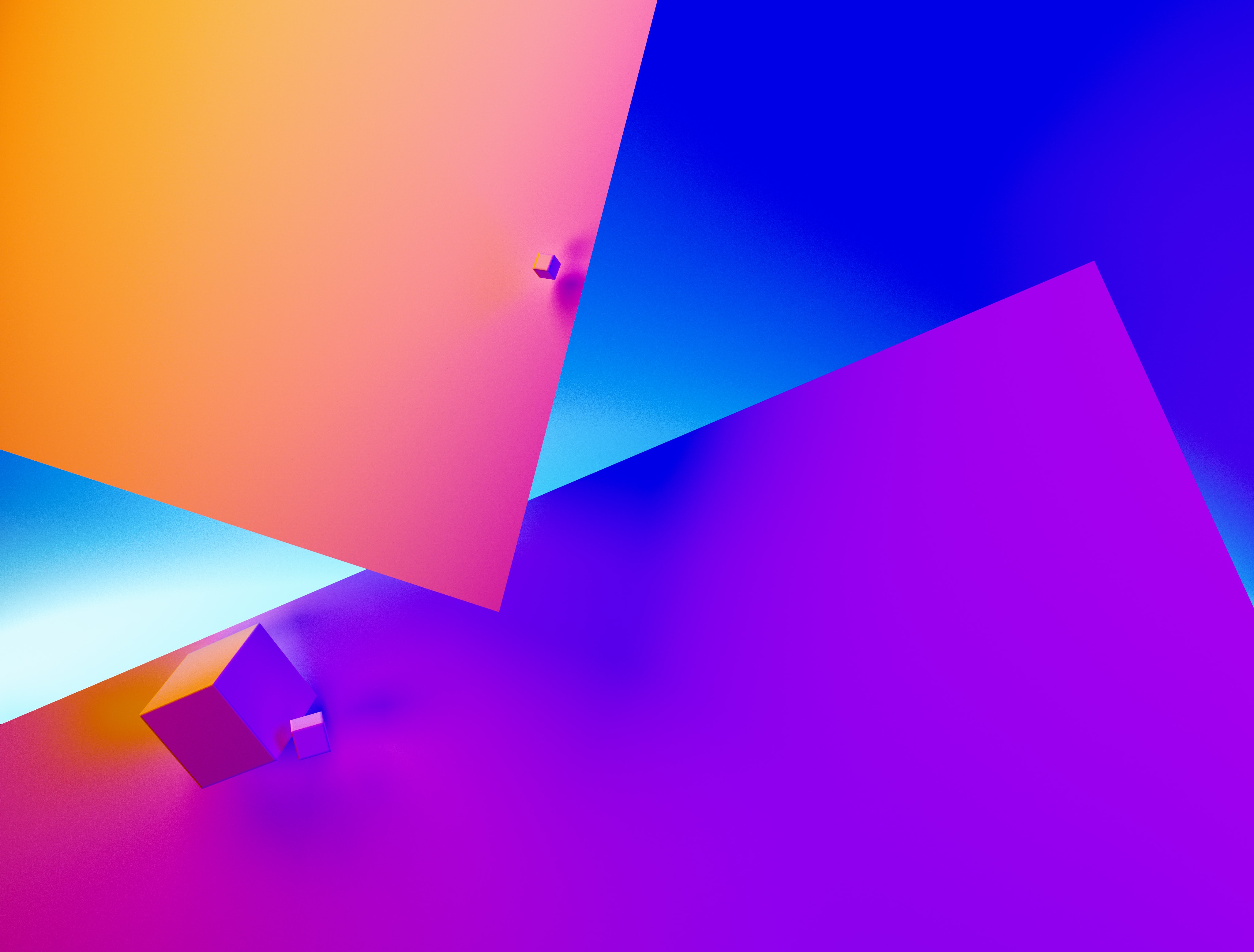 imagen del proyecto 1